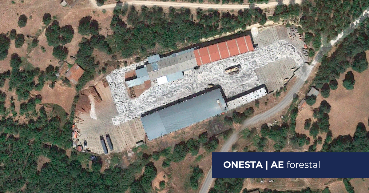 Onesta apuesta por la integración vertical en su negocio con la adquisición de un aserradero en Burgos - Onesta