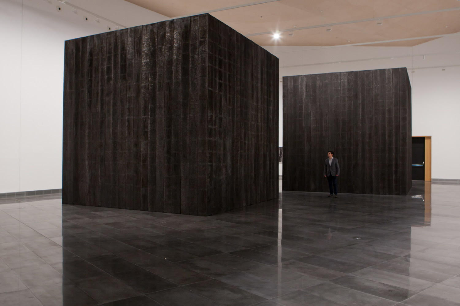 Onesta colabora con el arte y la cultura a través del mecenazgo de The Black Forest, obra expuesta en el Museo Universidad de Navarra - Onesta